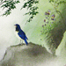Keiju Imai Gallery